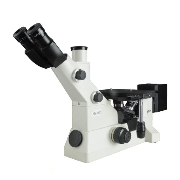 Microscopio MS 300D