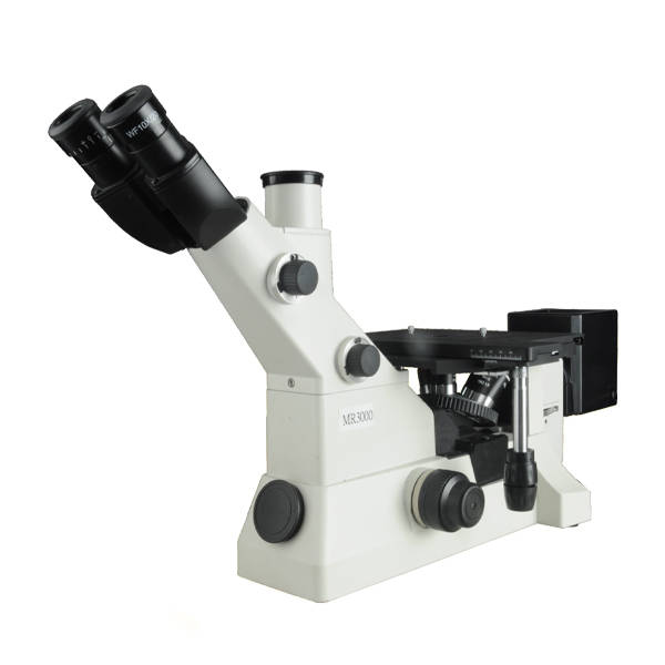 Microscopio MS