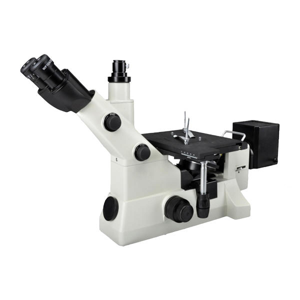 Microscopio MS 500D